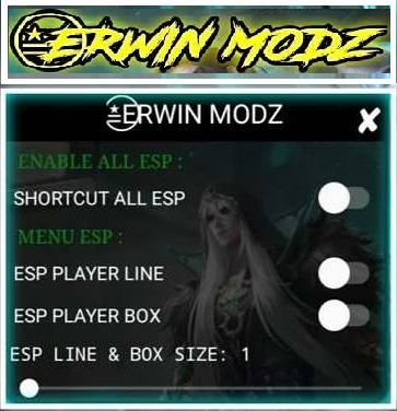 erwin mods features